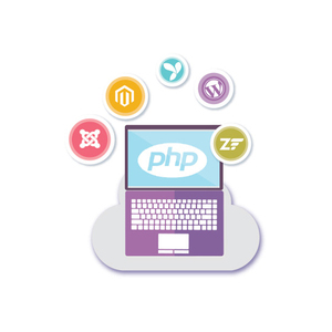 En PHP geliştiricileri hindistan | En PHP şirketleri hindistan'da | Protolabz eServices