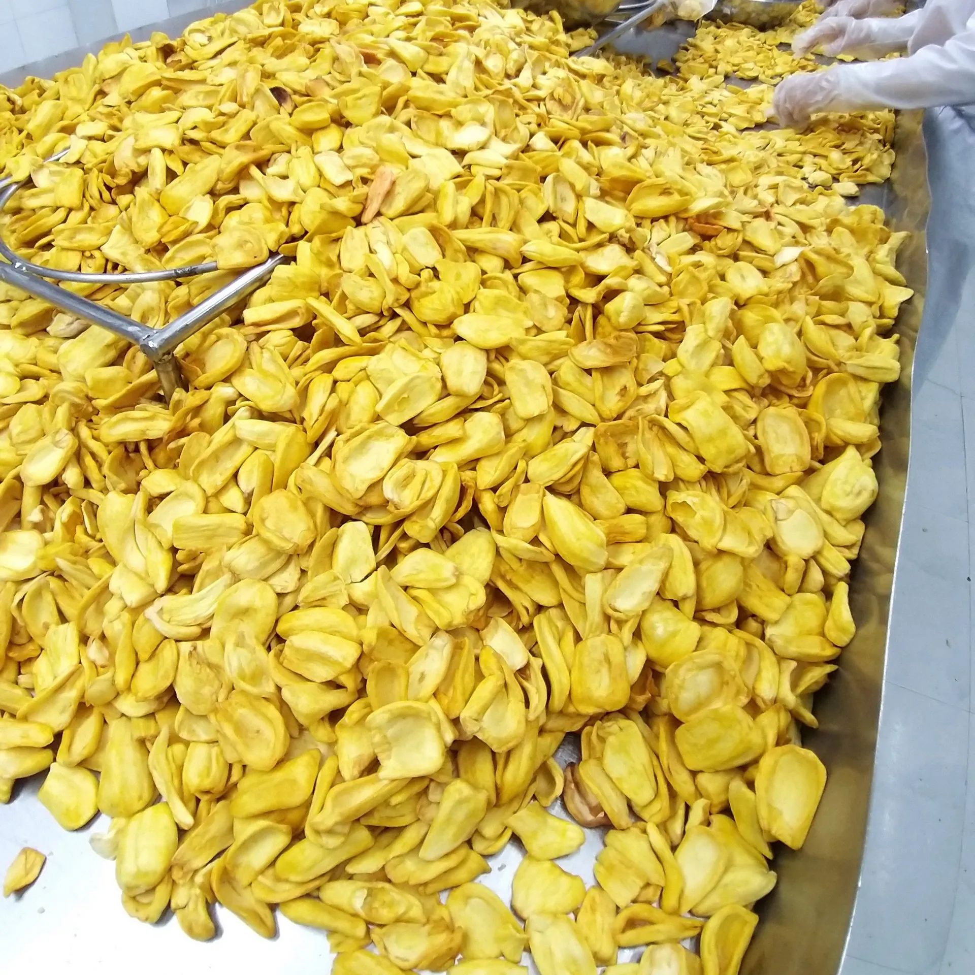 Kurutulmuş muz, JACKFRUIT, ejderha meyve, TARO, tatlı patates kaliteli-vakum kızarmış meyve ve sebze cips ucuz fiyat