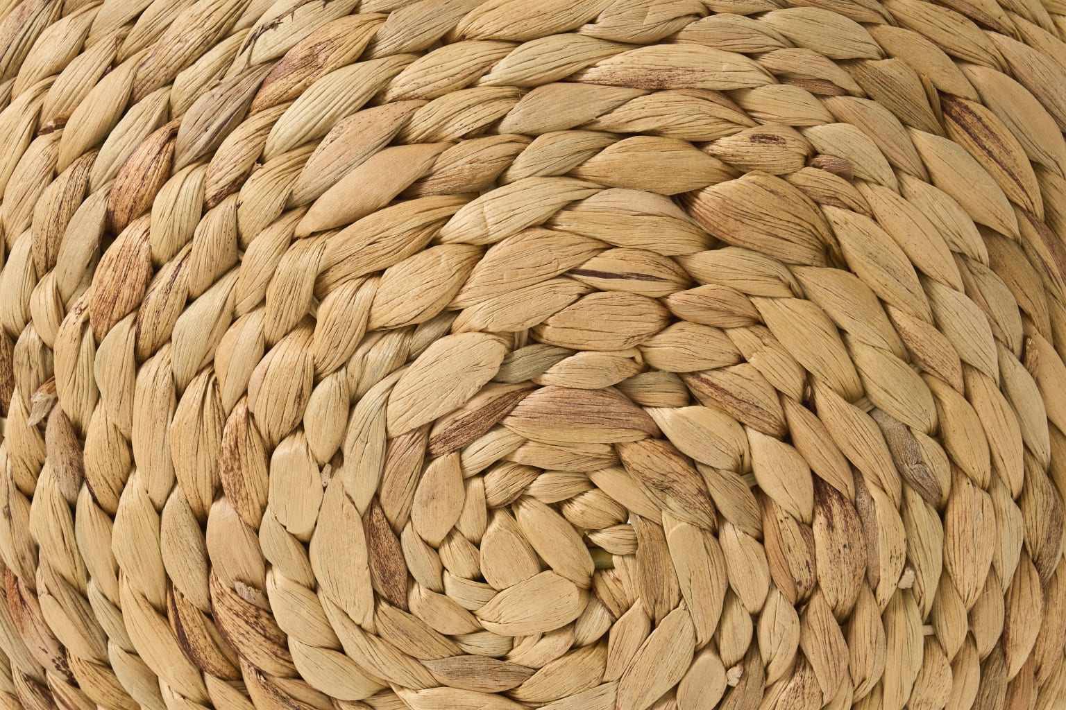 ผักตบชวาธรรมชาติ