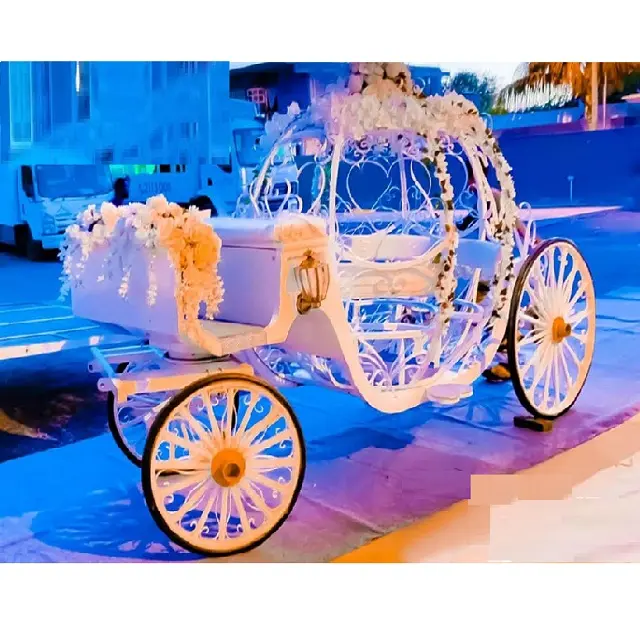 Principessa Zucca di Cenerentola trasporto per la Vendita Bianco Cenerentola Coach per la Cerimonia Nuziale Da Sposa Cenerentola Quinceanera Carro