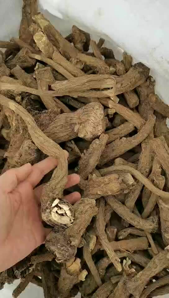 Купить Корни Цветов В Тобольске