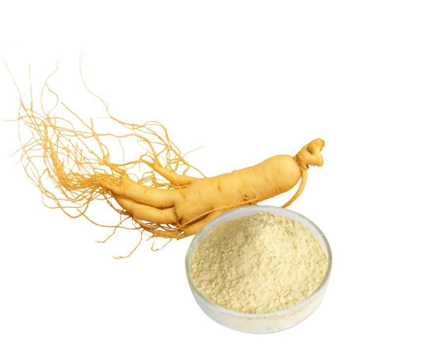 Женьшень сухой экстракт. Ginseng extract. Ginseng extract. Сок женьшеня. Китайский женьшень панакс.