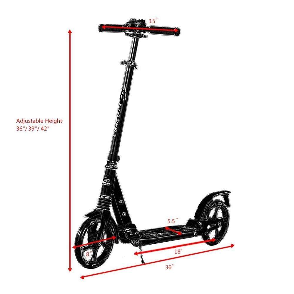 Cooter Scooter