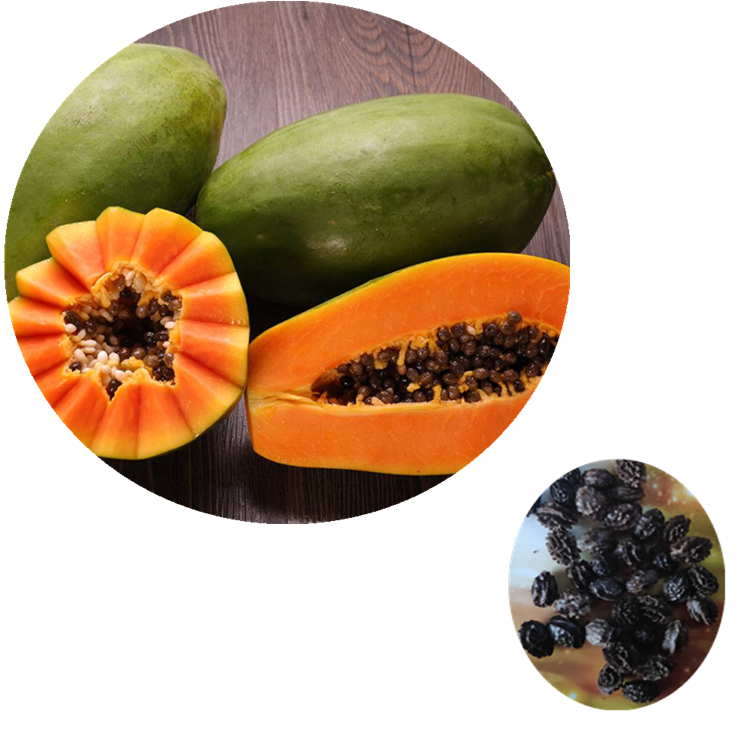 Семена Папайи Купить В Аптеке