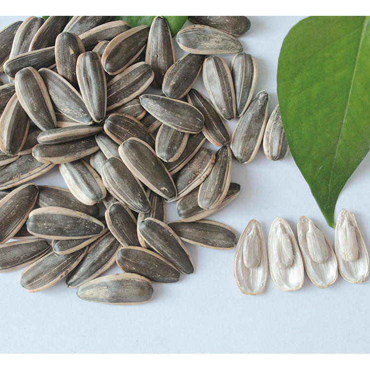 Семена Подсолнечника Купить Казахстан