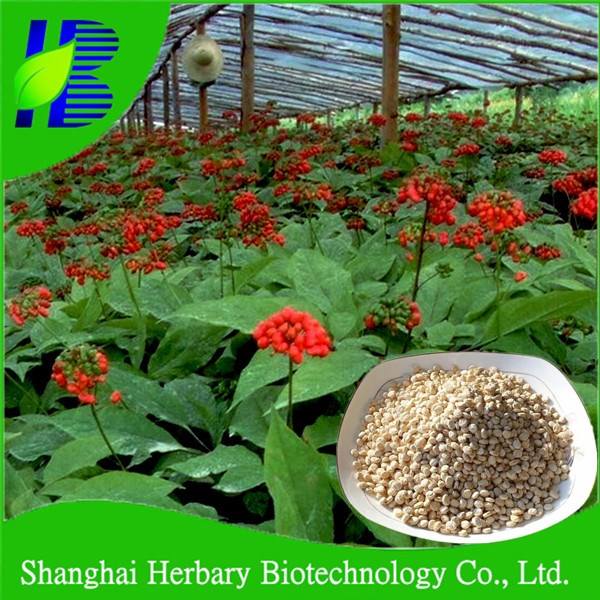 Купить Семена Женьшеня Для Посадки