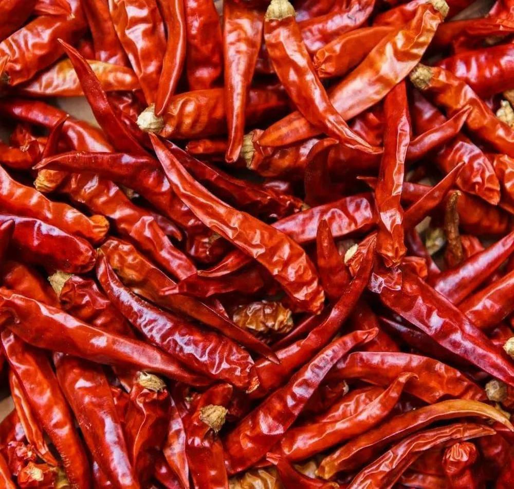 Перец Горький Купить Свежий