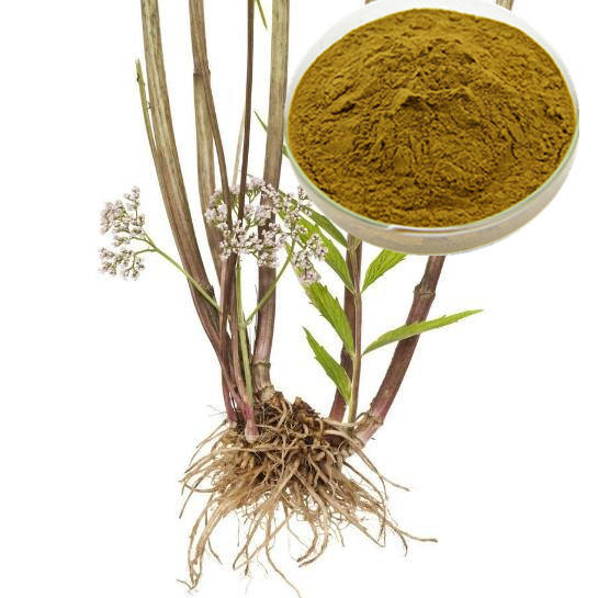 Валериана Корень Купить В Аптеке