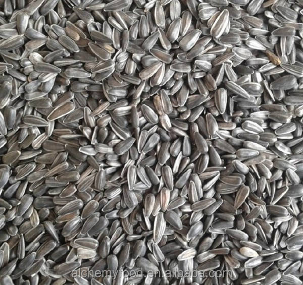 Семена Подсолнечника Купить Казахстан