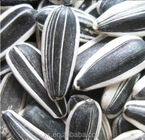 Семена Подсолнечника Купить Казахстан