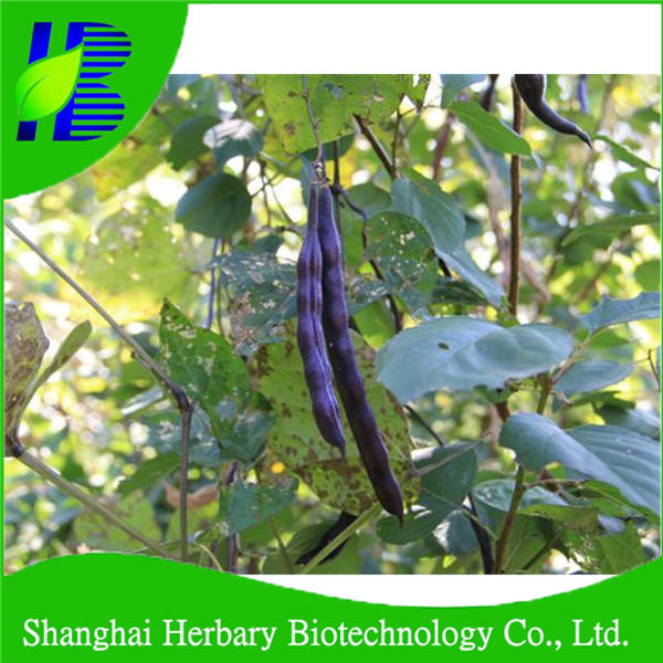 Семена Овощей Без Гмо Купить