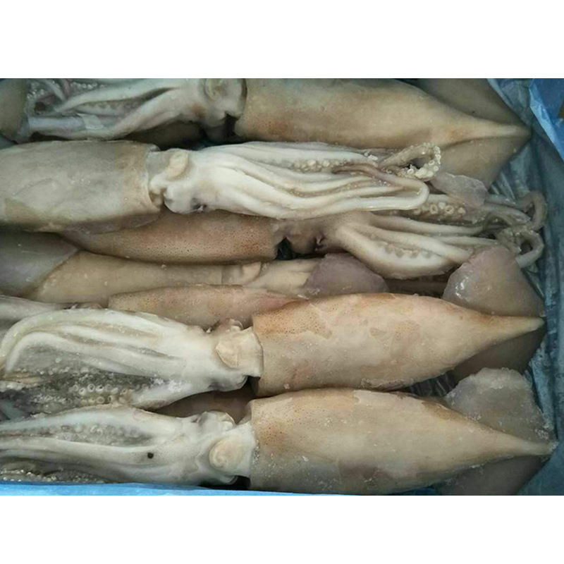 Кальмар Цена За 1 Кг