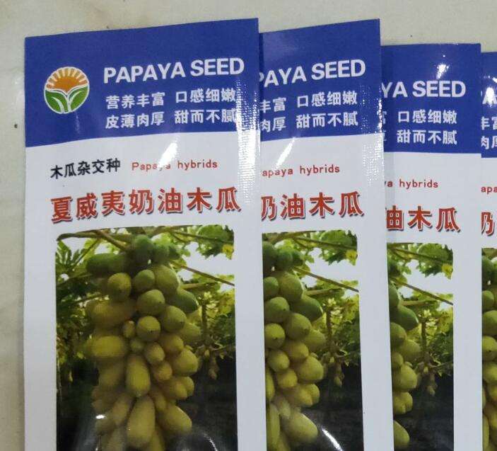 Семена Папайи Купить В Аптеке