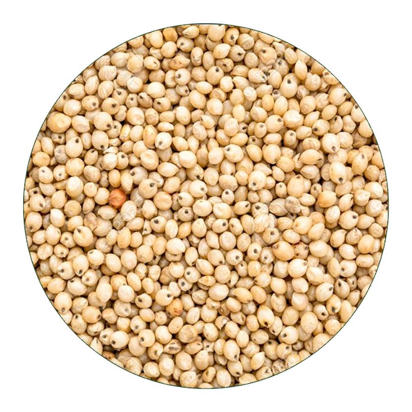 Сорго Крупа Купить