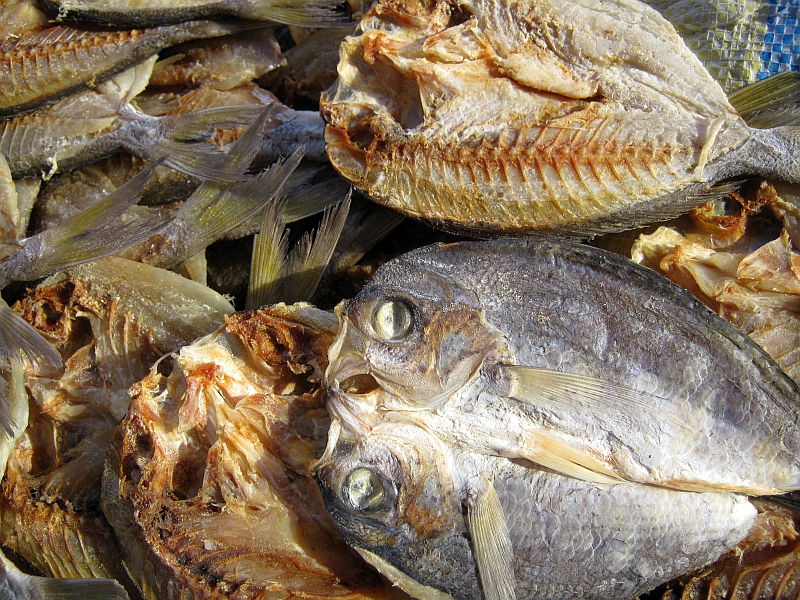 ряпушка рыба к пиву. ем рыбу сушеную что будет. желтый полосатик снеки. вяленая рыба ботулизм. ем рыбу сушеную что будет.