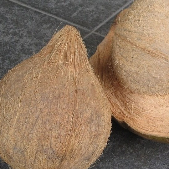 Кокос Цена