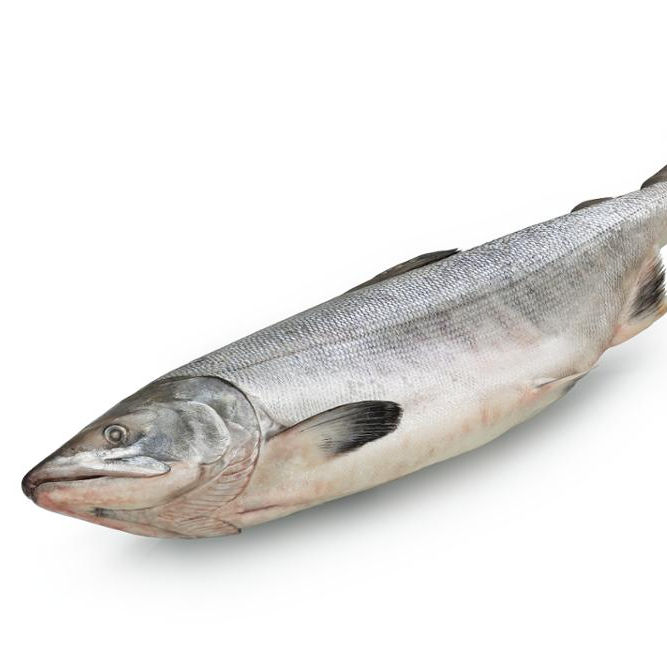 Недорогая Мороженая Рыба