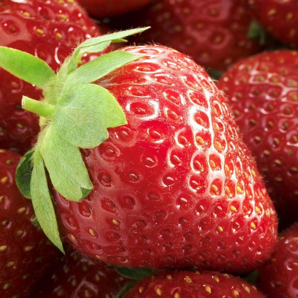 Strawberry Booty