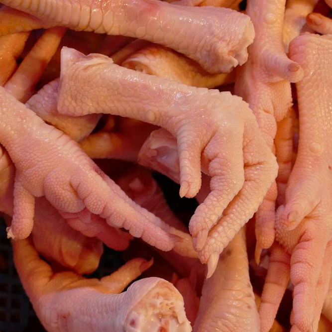 Куриные лапы картинки