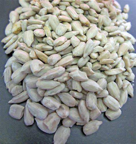 Семена Подсолнечника Купить Казахстан