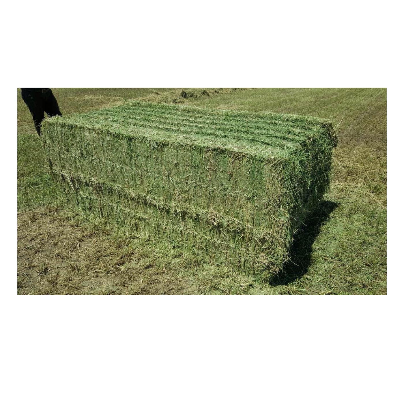 Купить Тюки Сена В Волгоградской Области