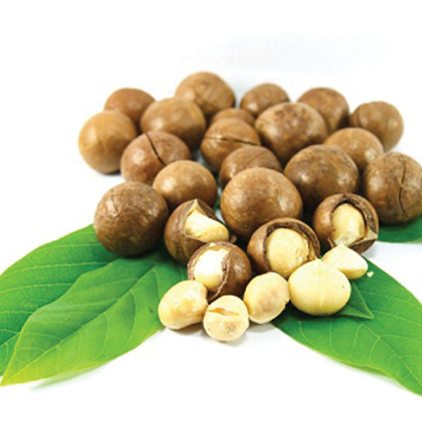 Королевский орех макадамия дерево. Орех макадамии детям. Сладкий орех макадамия. Орех макадамии детям. Орехи макадамии калорийность.