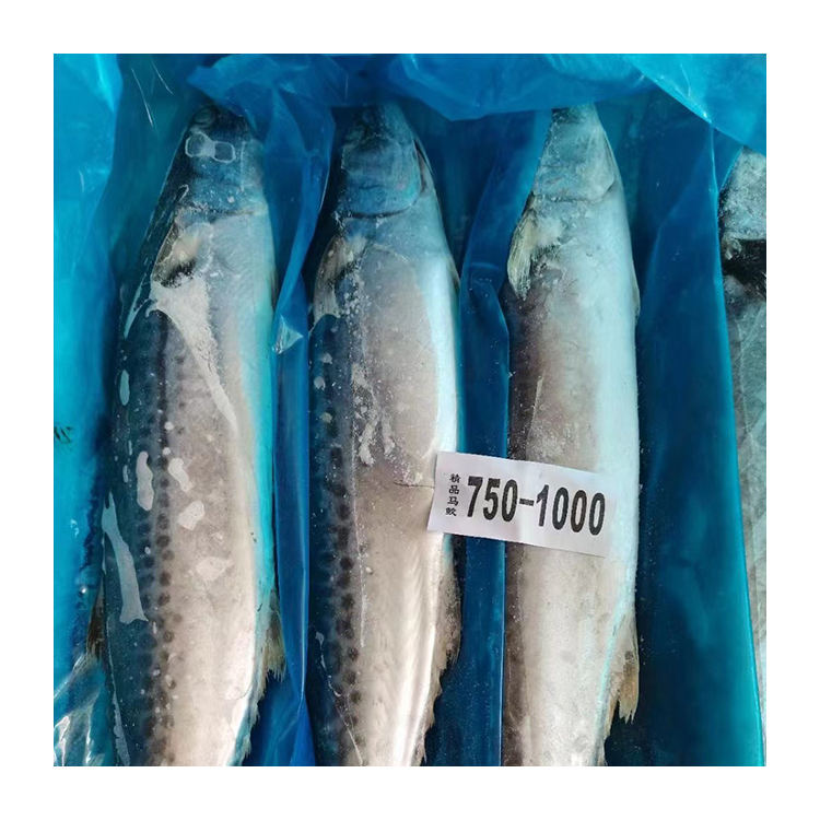 Недорогая Мороженая Рыба