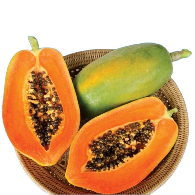 Семена Папайи Купить В Аптеке