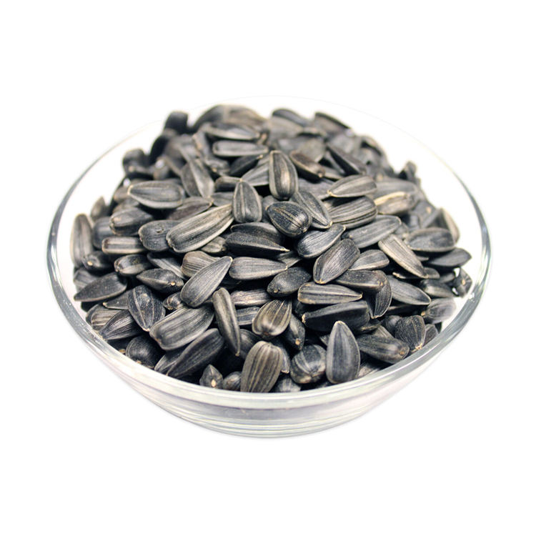 Купить Семена Подсолнуха В Ростове