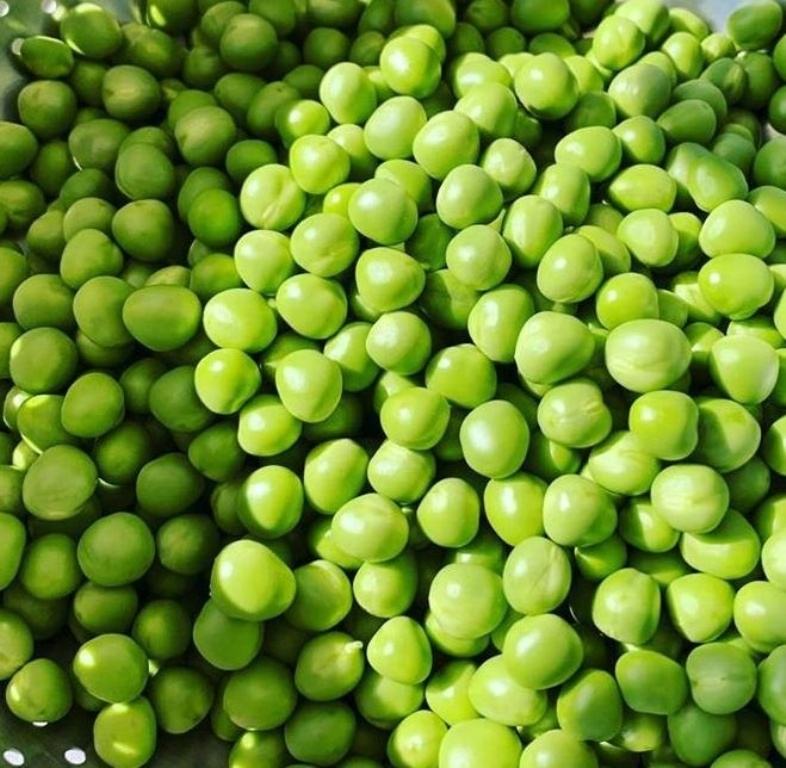 Куплю Горох Оптом Цена