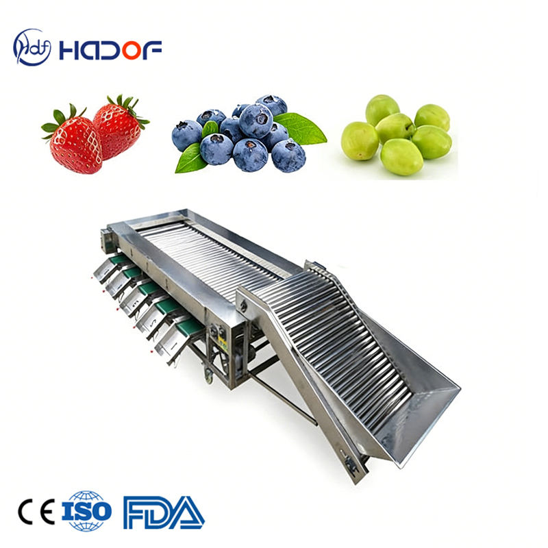 https://s.alicdn.com/%40sc04/kf/H214e19c1d24144e2852ba2283cbc9008m/Apple-Lemon-Olive-Watermelon-Apricot-Berry-Cherry-Vegetable-Fruit-Grading-Sorting-Machine-304-Stainless-Steel-High-Capacity.jpg