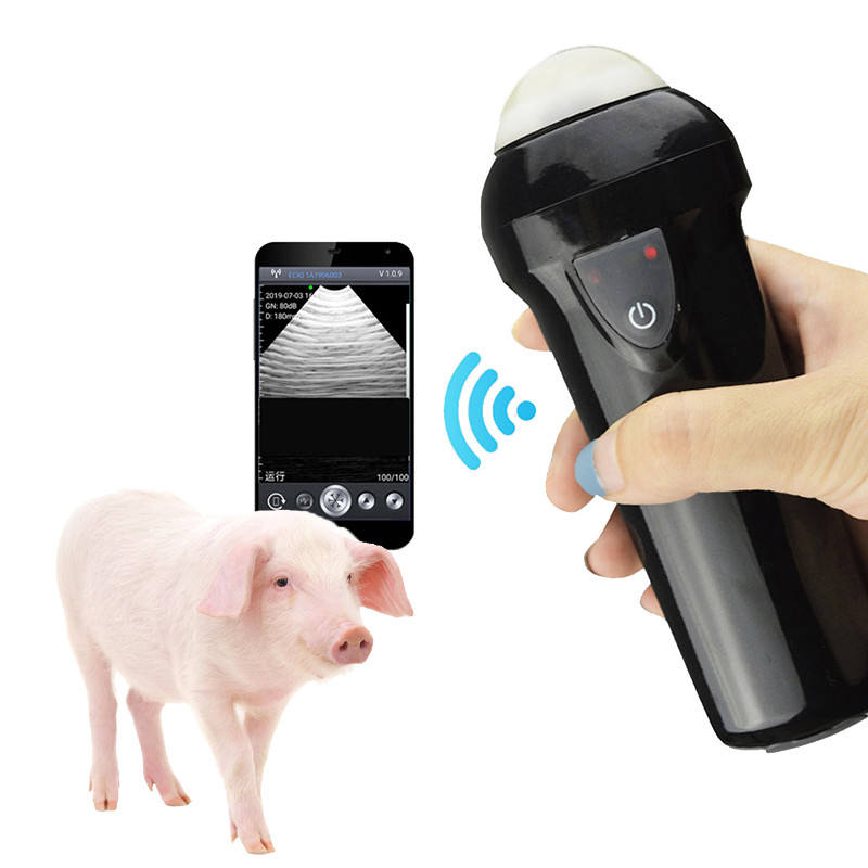 Portable wireless veterinary ultrasound scanner