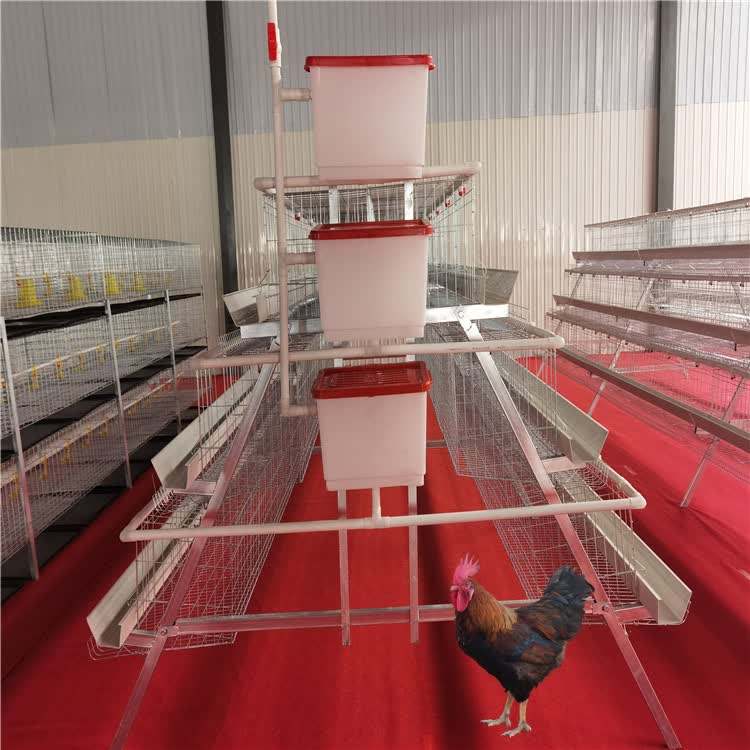 https://s.alicdn.com/%40sc04/kf/H4623b2fa9a1b49549502c6b44977ba0cn/One-stop-Supplier-High-Strength-Battery-Cage-for-Layer-Chicken-Chicken-Farming-Equipment-Poultry-H-Type-Chicken-Cage-for-Egypt.jpg