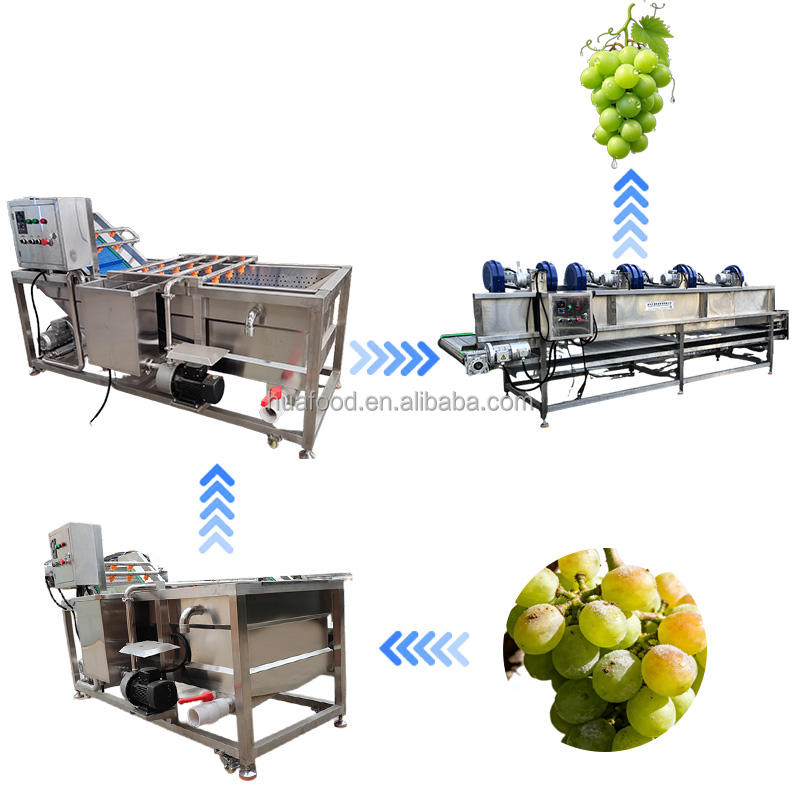https://s.alicdn.com/%40sc04/kf/H5a5e127afcb548388622d592fe194bffa/Automatic-Grape-Cleaning-and-Drying-Line-for-Organic-Raisin-Production.jpg