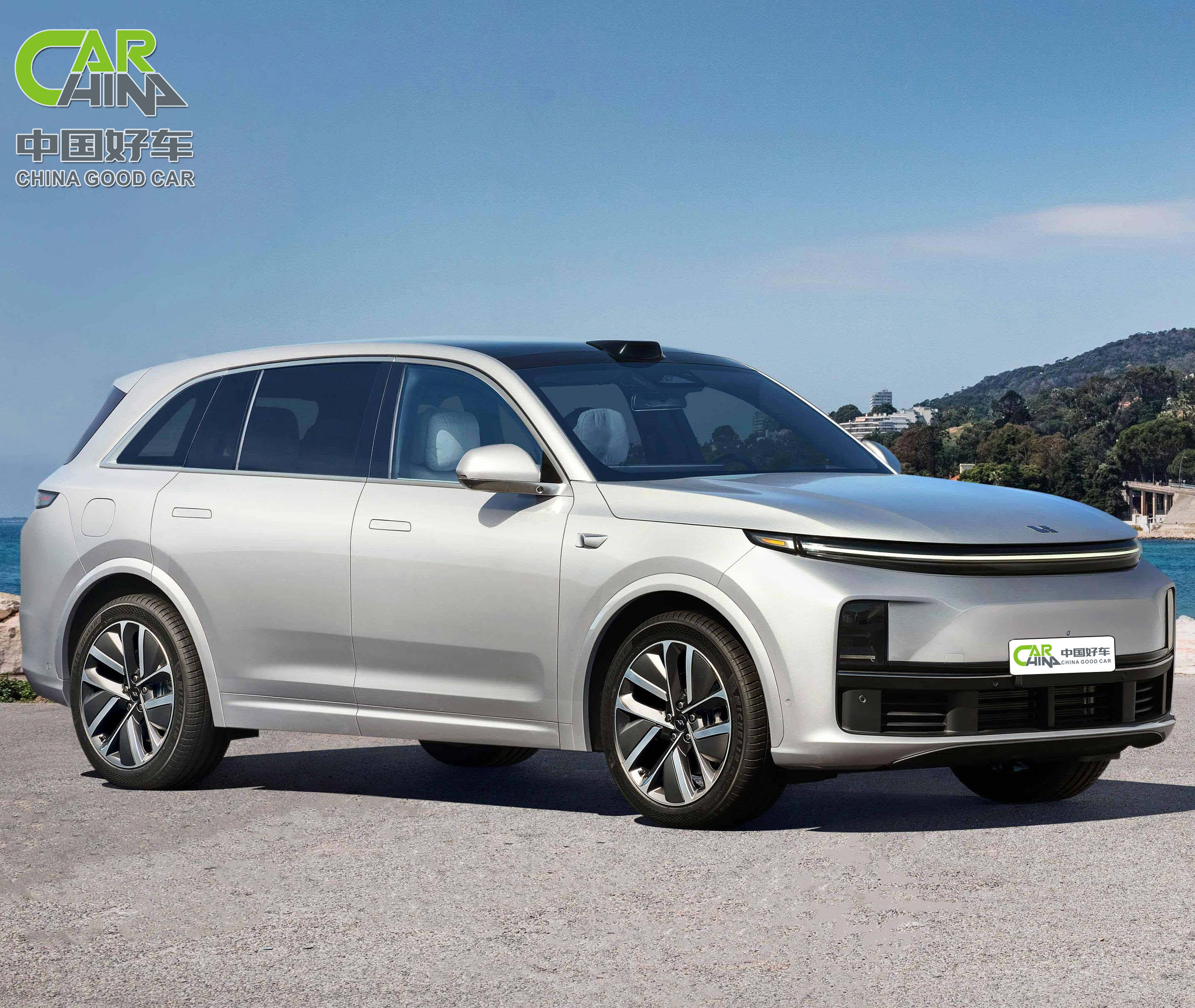 Купить Авто Li 9