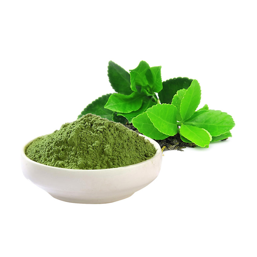 Экстракт Зеленого Чая Купить Оптом