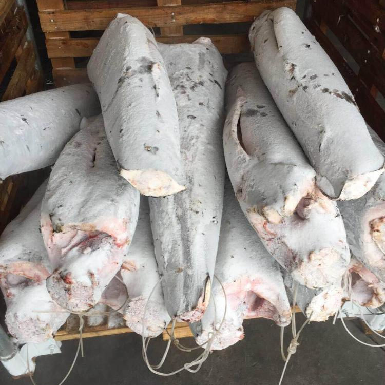 Недорогая Мороженая Рыба