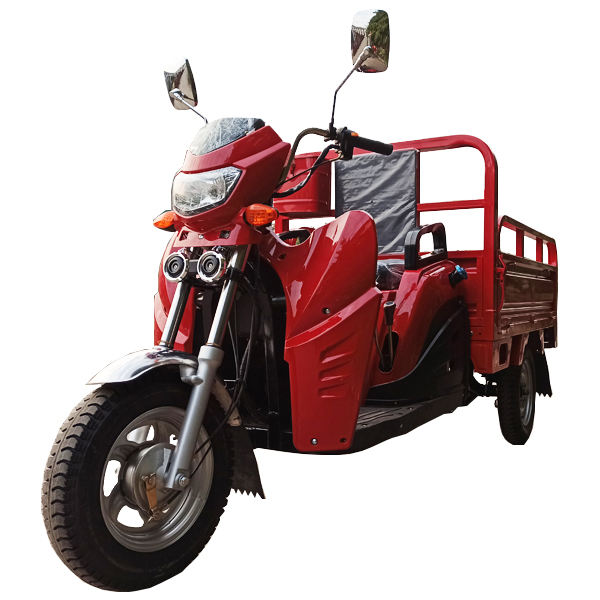 Scooter Cooter