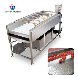 https://s.alicdn.com/%40sc04/kf/Hbe26b2845c17498881272b1e3b5acc2fa/Professional-Factory-Potato-Ginger-Fruit-Washing-Machine-Tomato-Carrot-Ginger-Dates-Cleaning-Machine.jpg_300x300.jpg