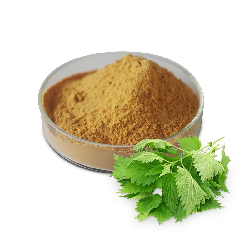Экстракт Корней Крапивы В Капсулах Купить