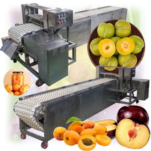 https://s.alicdn.com/%40sc04/kf/Hec92d008eae64f9cb4ec4f7a90685cd0r/Industrial-Olive-Plum-Pitting-Machine-Apricot-Seed-Remove-Machine-Dates-Cherry-Seeds-Remover-Apricot-Core-Removing-Machine.jpg_300x300.jpg