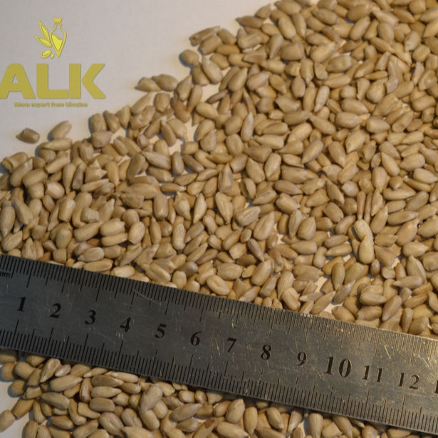 Семена Подсолнечника Купить Казахстан