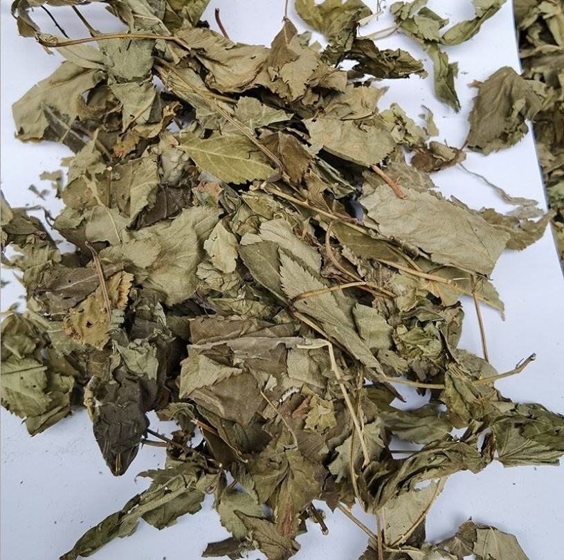 Сушеные Листья Малины Купить В Туле