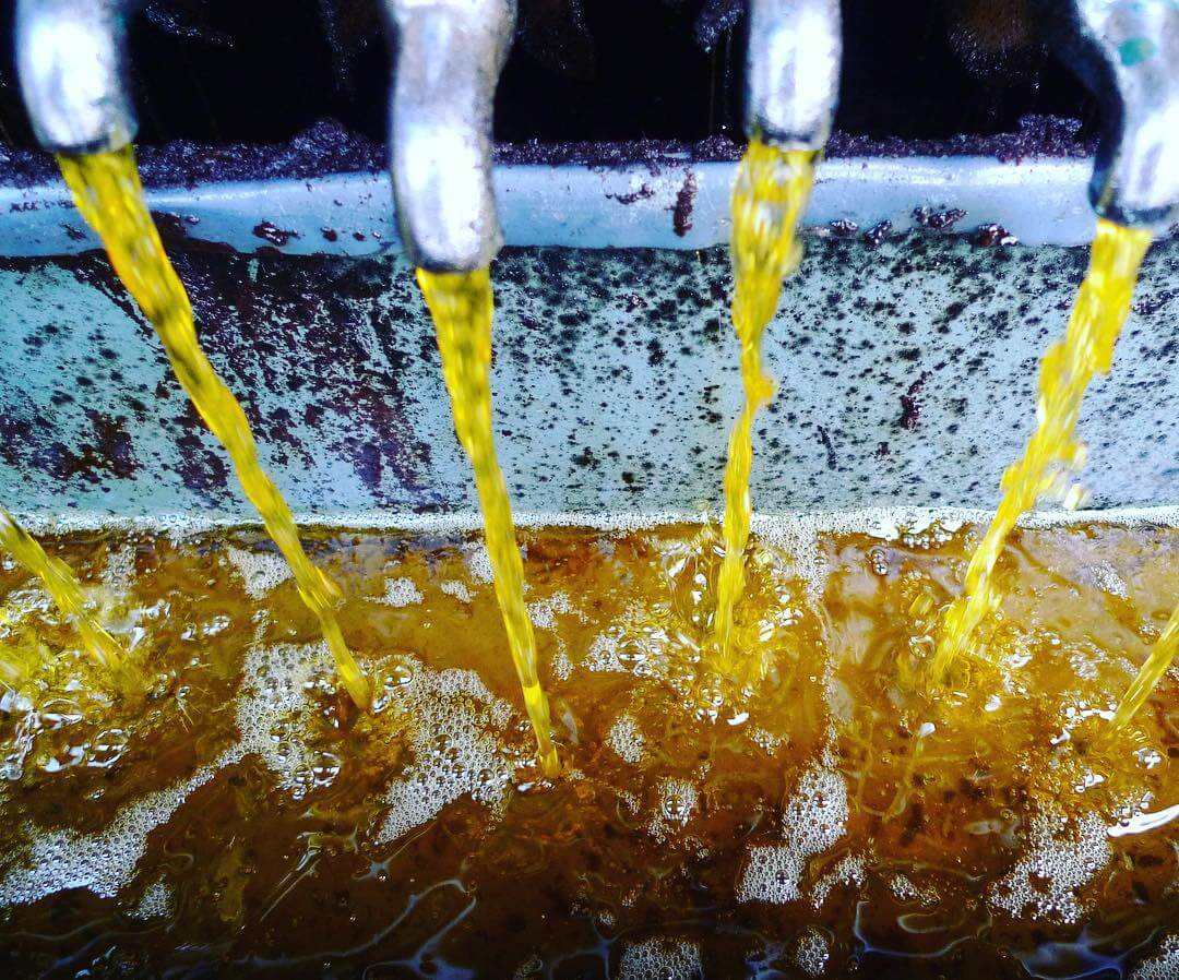 Купить Отработанное Подсолнечное Масло