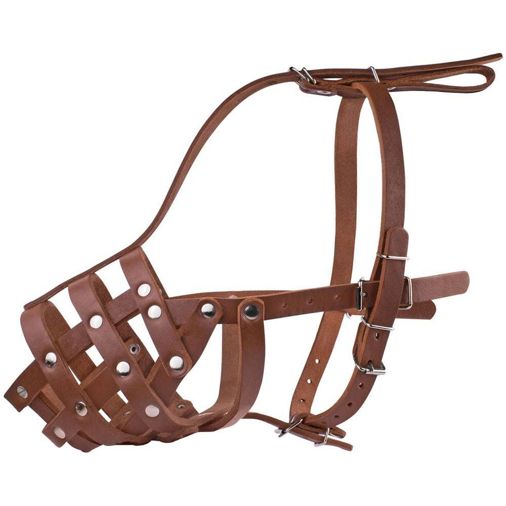 Купить Намордник Для Собаки В Интернет Магазине