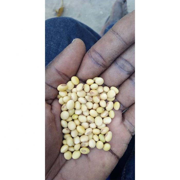 Купить Семена Сои В Орловской Области