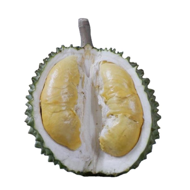 Купить Дуриан С Доставкой По России Недорого