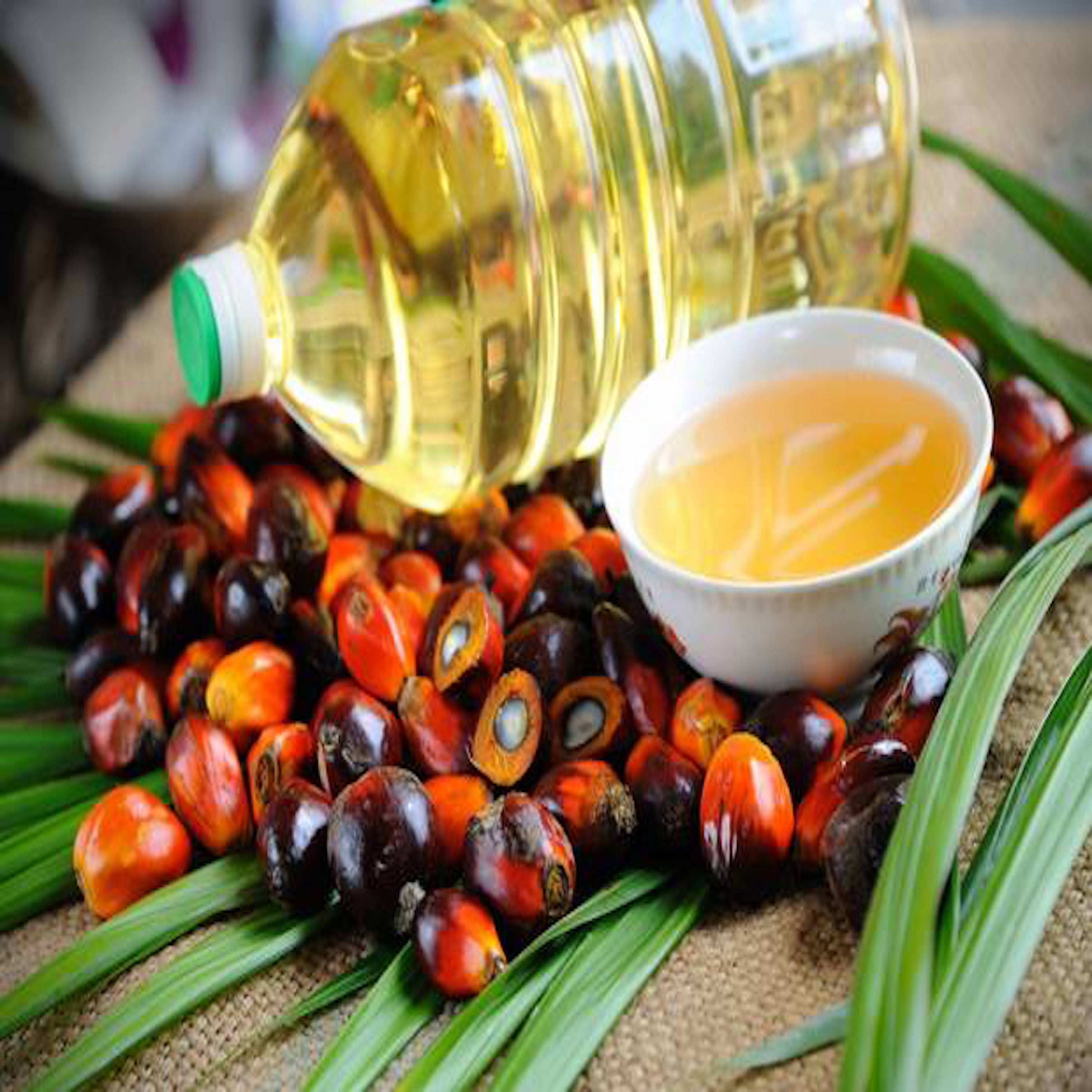 Красное Нерафинированное Пальмовое Масло Купить