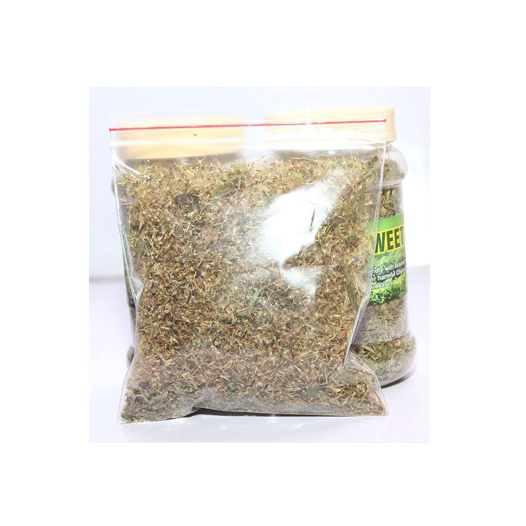 Купить Семена Женьшеня Для Посадки