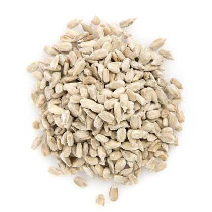 Семена Подсолнечника Купить Казахстан